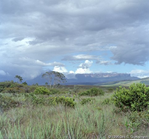 Kukenám-Tepui and Mt. Roraima (Click for next group)