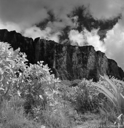 Mt. Roraima from Below (Click for next image)