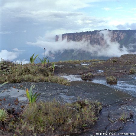 Roraima with Kukenám-Tepui (Click for next image)