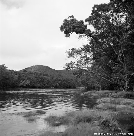 Río Carrao (Click for next image)