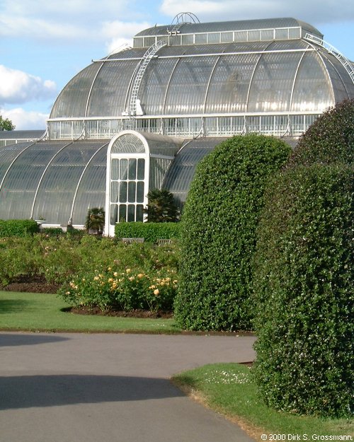 Palm House (Click for next image)