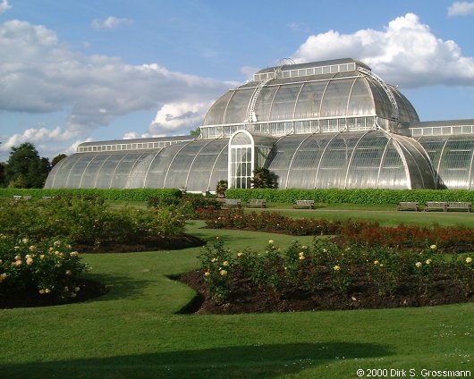 Palm House 2 (Click for next image)