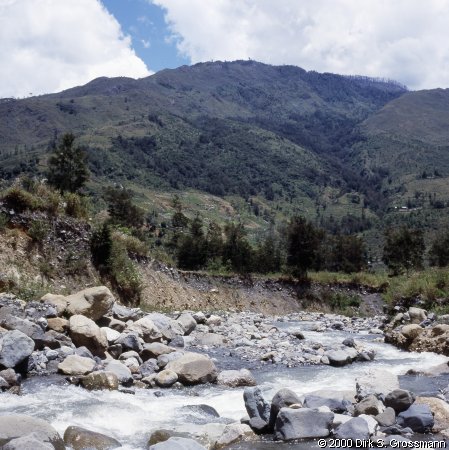 Creek in the Baliem Valley (Click for next image)