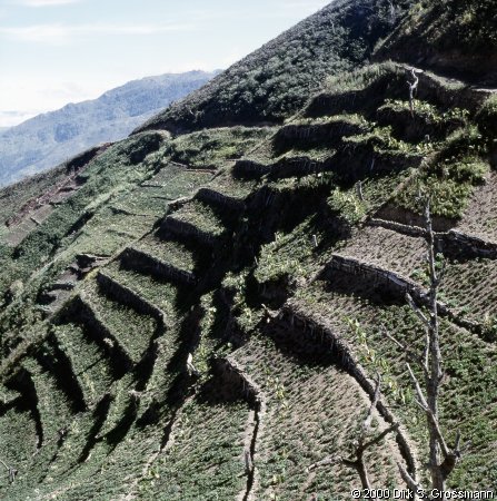 Terraces at the Slope (Click for next image)