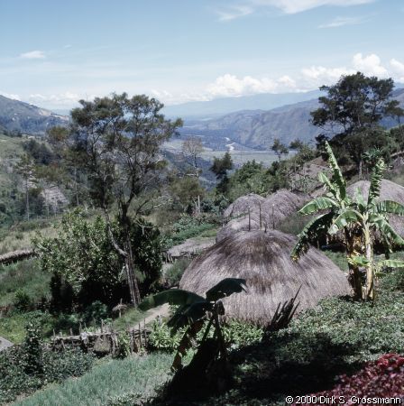 Village at the Baliem Valley Slope (Click for next group)