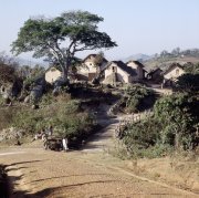 A Village