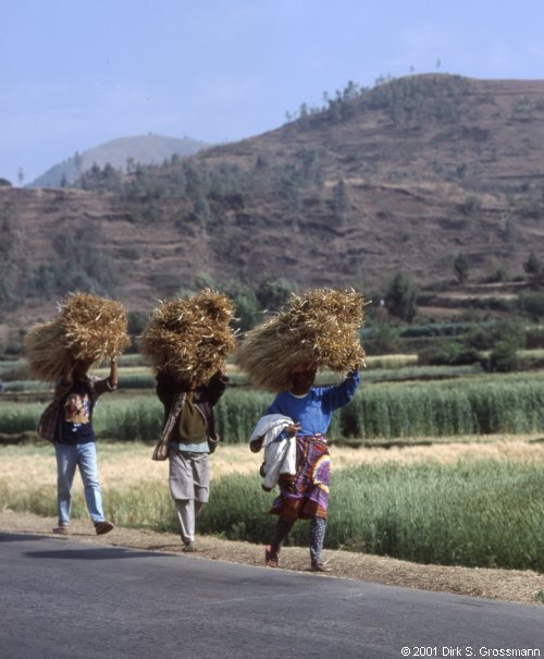 To Antsirabe (Click for next image)