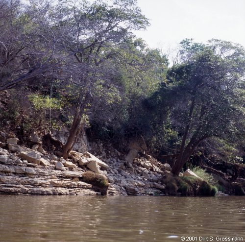 Tsiribihina River (Click for next image)