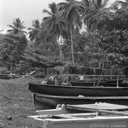 Boats (Click for next image)