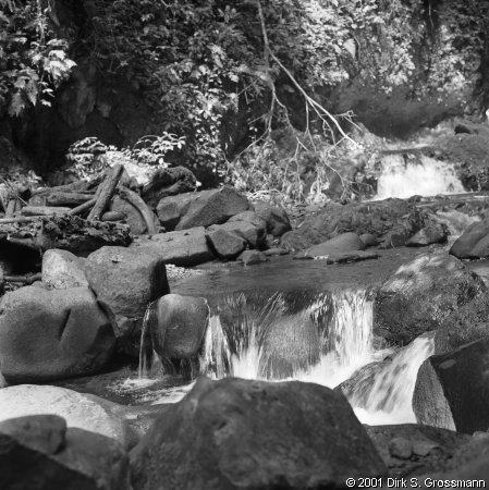 Creek near Bombain (Click for next image)