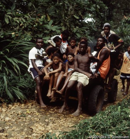 São Tomé Transport (Click for next image)