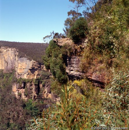 North of Govetts Leap (Click for next image)