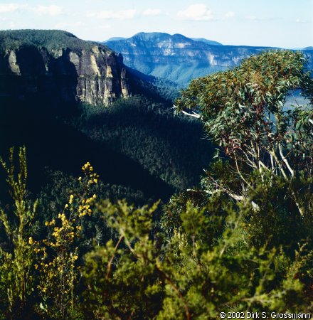 On the Way to Evans Lookout (Click for next image)