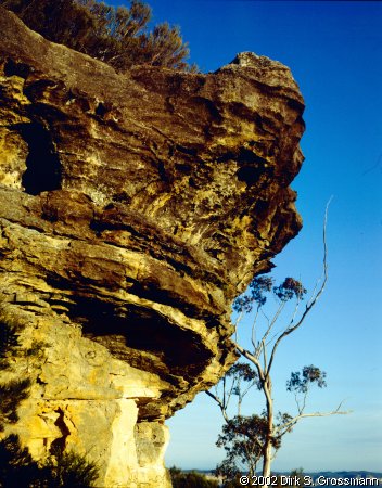 Katoomba Cliff Walk (Click for next image)