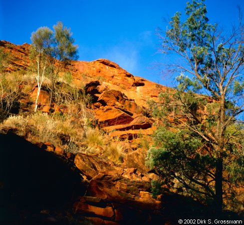 Kings Canyon (Click for next image)