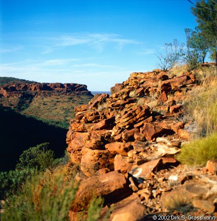 Kings Canyon (Click for next image)
