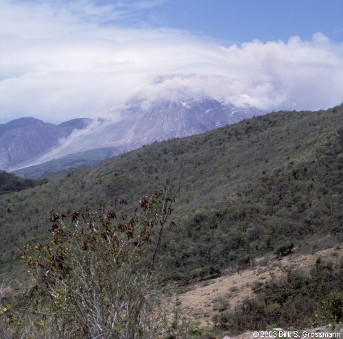 Soufrière Hills (Click for next image)