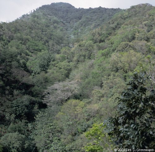Soufrière Hills 3 (Click for next image)