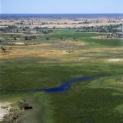 Okavango Delta 3