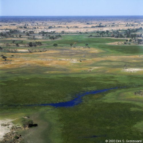 Okavango Delta 3 (Click for next image)