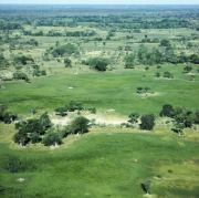 Okavango Delta 6