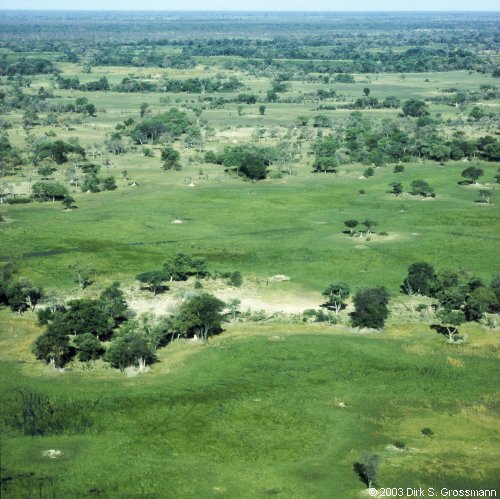 Okavango Delta 6 (Click for next image)
