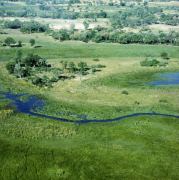 Okavango Delta 7