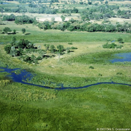 Okavango Delta 7 (Click for next image)