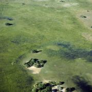 Okavango Delta 10