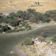 Okavango Delta 11