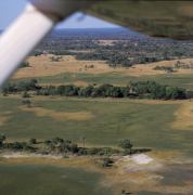 Okavango Delta 12