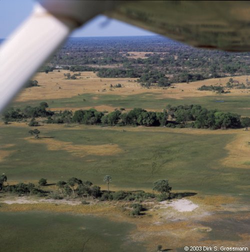 Okavango Delta 12 (Click for next image)