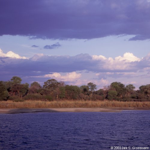 Okavango River (Click for next image)