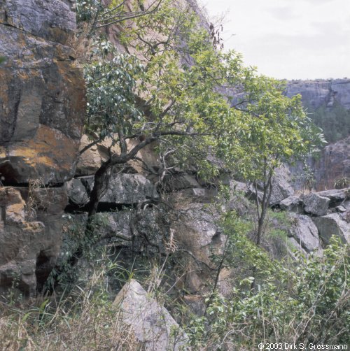 Blyde River Canyon 6 (Click for next image)