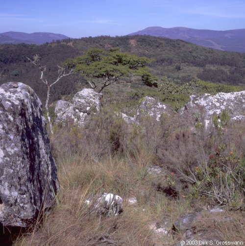 Chimanimani (Click for next image)