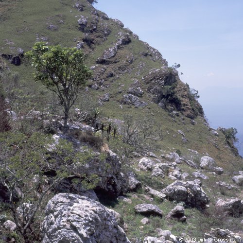Chimanimani 15 (Click for next image)