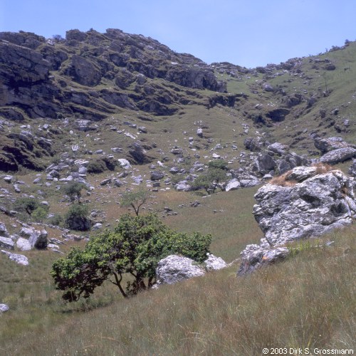 Chimanimani 19 (Click for next image)