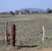 Field near Great Zimbabwe