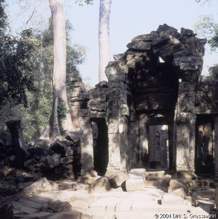 Ta Prohm 7 (Click for next group)