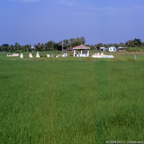 Graves in a Rice Field (Click for next image)