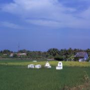 Graves in a Rice Field 2