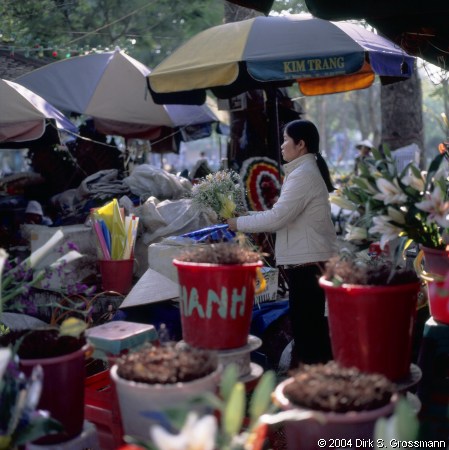 Flower Market (Click for next image)