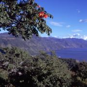 Lago de Atitlán 3