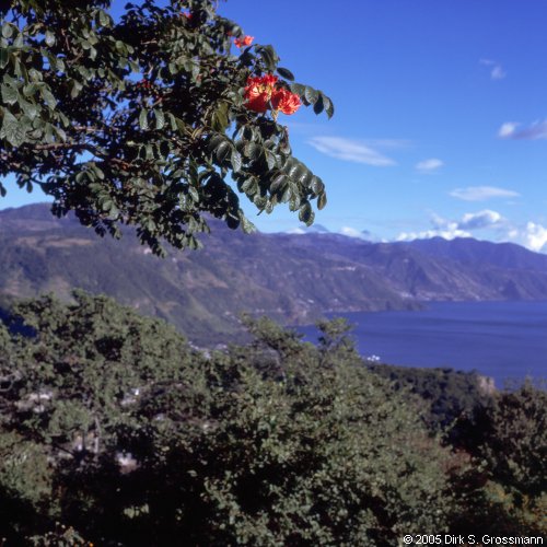 Lago de Atitlán 3 (Click for next image)
