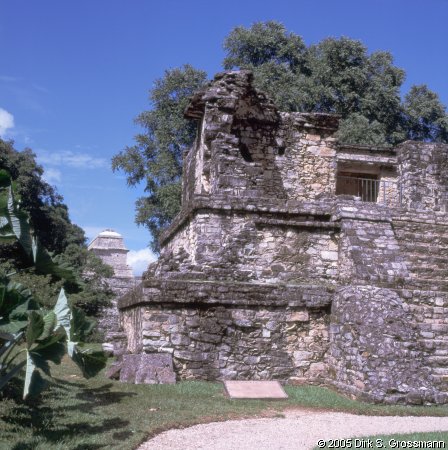 Palenque 1 (Click for next image)