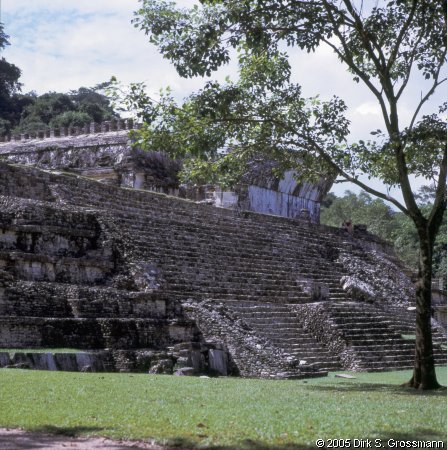 Palenque 3 (Click for next image)
