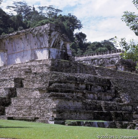 Palenque 4 (Click for next image)