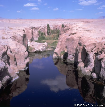 Tocomao (Click for next image)