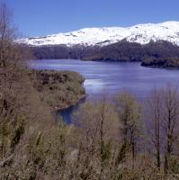 Lago Conguillío