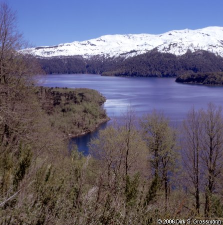 Lago Conguillío (Click for next image)